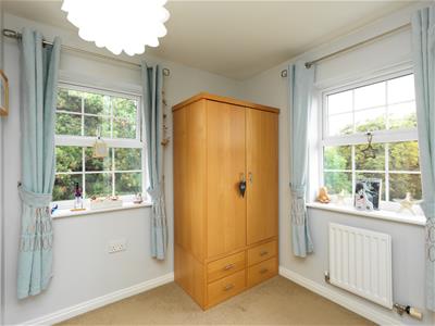 Picture 24